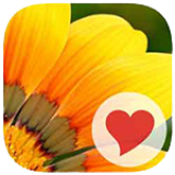 380 Wörter Lösung aller Ebenen für iPhone und iPad