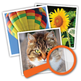 4 Bilder 1 Wort Großaufnahme Lösung aller Level und Ebenen