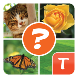 4 Bilder Rätsel für Tango Lösung alle Ebenen