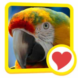 600 Wörter Lösung aller Level und Ebenen