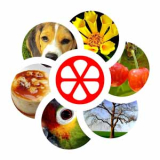 Wortringe Lösung aller Ebenen und Level