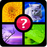 Errate das Wort Lösung aller Level – Foto Quiz