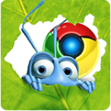 Google Chrome: Texte werden nicht angezeigt / nicht sichtbar – WordPress